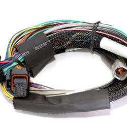 Elite 2500 - 2.5m (8 ft) Basic Uni Wire-in Harness Only