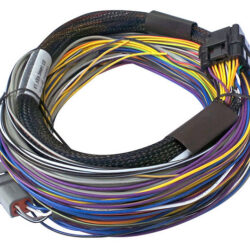 Elite 750 Basic Universal Wire-in Harness 2.5m (8')