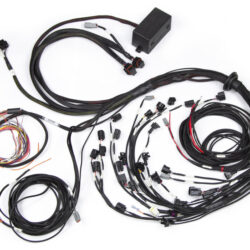 Elite 2500 Ford Falcon BA/BF Barra 4.0 Terminated Harness