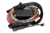 Elite 2500 - 2.5m (8 ft) Premium Uni Wire-in Harness - Image 2