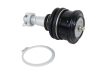 WL Ball Joints