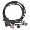 EDE Wiring Harness