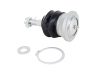 WL Ball Joints
